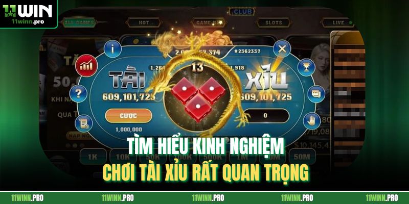 Tìm hiểu kinh nghiệm chơi tài xỉu rất quan trọng